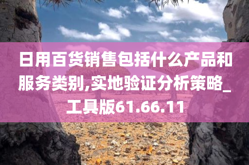 日用百货销售包括什么产品和服务类别,实地验证分析策略_工具版61.66.11