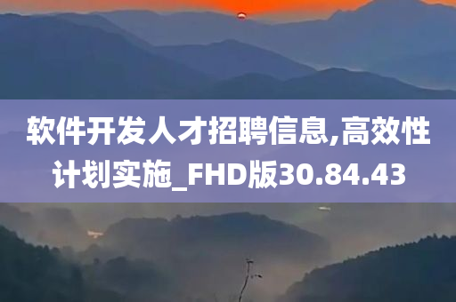 软件开发人才招聘信息,高效性计划实施_FHD版30.84.43