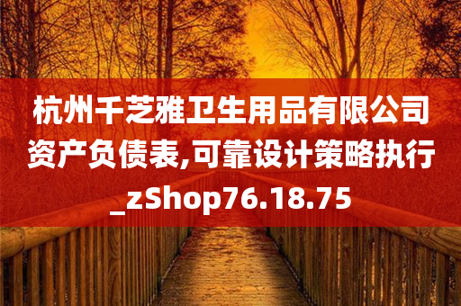 杭州千芝雅卫生用品有限公司资产负债表,可靠设计策略执行_zShop76.18.75