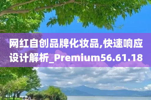 网红自创品牌化妆品,快速响应设计解析_Premium56.61.18