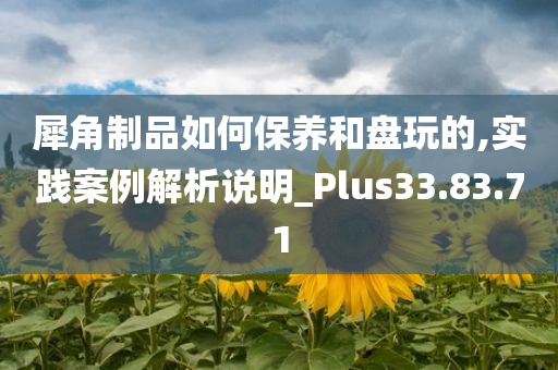 犀角制品如何保养和盘玩的,实践案例解析说明_Plus33.83.71