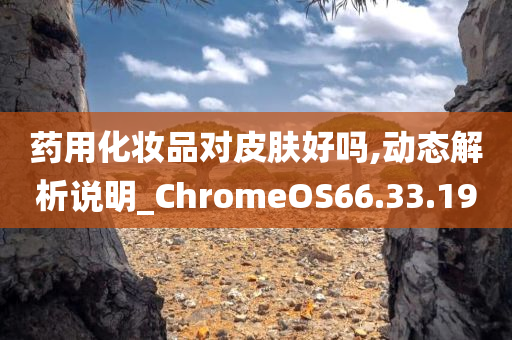 药用化妆品对皮肤好吗,动态解析说明_ChromeOS66.33.19