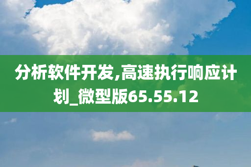 分析软件开发,高速执行响应计划_微型版65.55.12