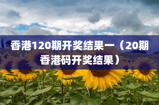 香港120期开奖结果一（20期香港码开奖结果）