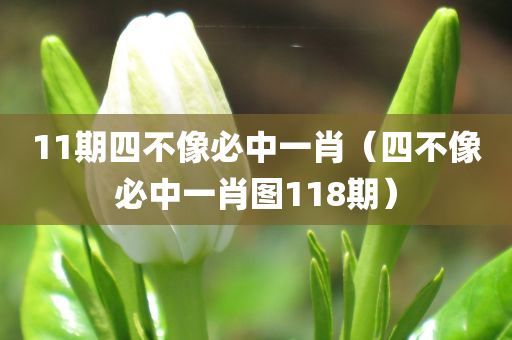 11期四不像必中一肖（四不像必中一肖图118期）