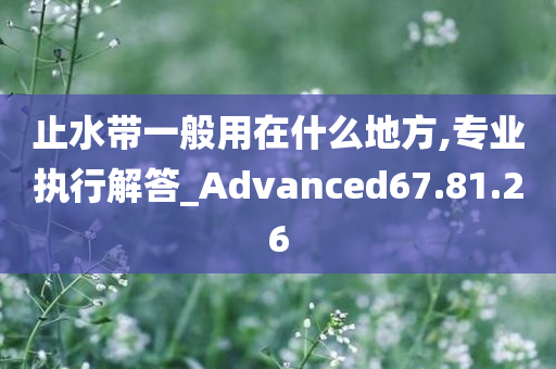 止水带一般用在什么地方,专业执行解答_Advanced67.81.26