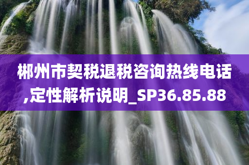 郴州市契税退税咨询热线电话,定性解析说明_SP36.85.88