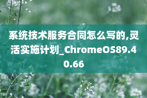 系统技术服务合同怎么写的,灵活实施计划_ChromeOS89.40.66