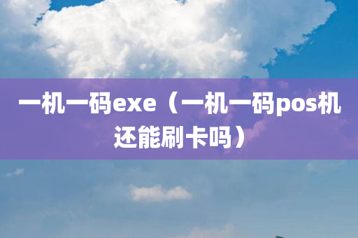 一机一码exe（一机一码pos机还能刷卡吗）