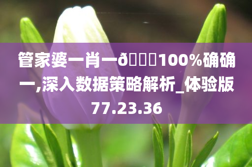 管家婆一肖一🐎100%确确一,深入数据策略解析_体验版77.23.36