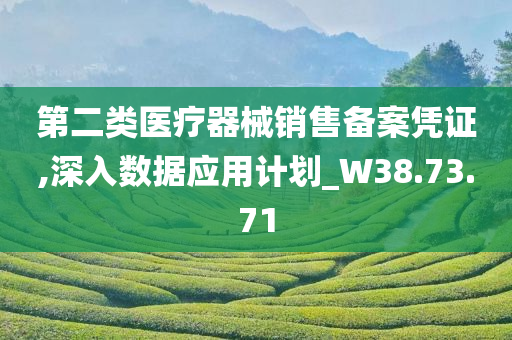 第二类医疗器械销售备案凭证,深入数据应用计划_W38.73.71