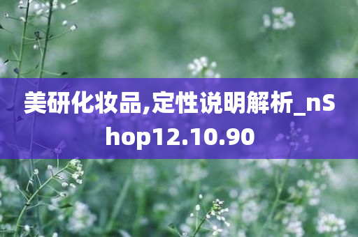 美研化妆品,定性说明解析_nShop12.10.90