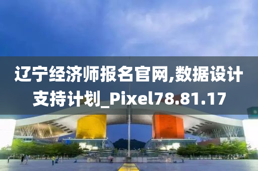 辽宁经济师报名官网,数据设计支持计划_Pixel78.81.17