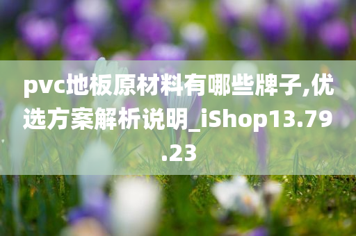 pvc地板原材料有哪些牌子,优选方案解析说明_iShop13.79.23