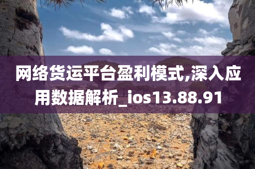 网络货运平台盈利模式,深入应用数据解析_ios13.88.91