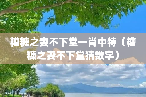 糟糖之妻不下堂一肖中特（糟糠之妻不下堂猜数字）