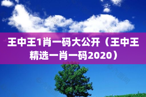 王中王1肖一码大公开（王中王精选一肖一码2020）