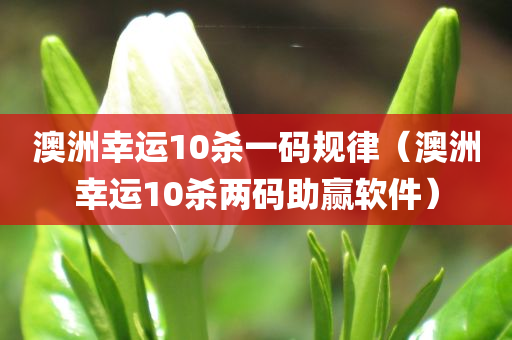 澳洲幸运10杀一码规律（澳洲幸运10杀两码助赢软件）