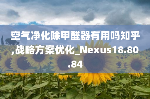 空气净化除甲醛器有用吗知乎,战略方案优化_Nexus18.80.84