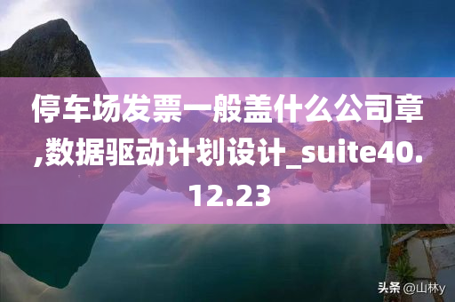 停车场发票一般盖什么公司章,数据驱动计划设计_suite40.12.23