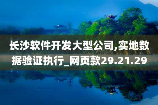 长沙软件开发大型公司,实地数据验证执行_网页款29.21.29