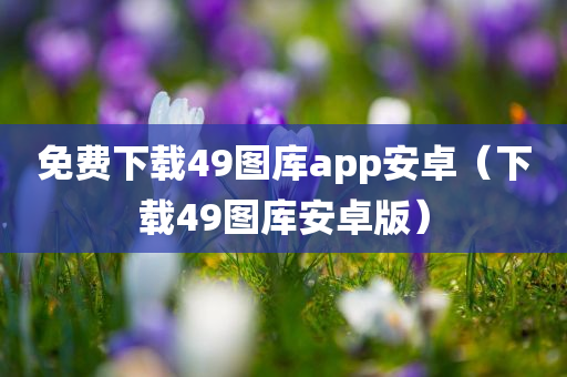 免费下载49图库app安卓（下载49图库安卓版）