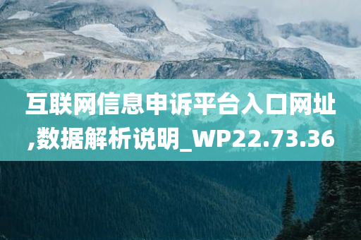 互联网信息申诉平台入口网址,数据解析说明_WP22.73.36