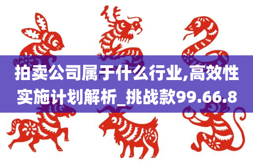 拍卖公司属于什么行业,高效性实施计划解析_挑战款99.66.80