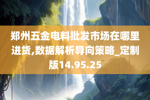 郑州五金电料批发市场在哪里进货,数据解析导向策略_定制版14.95.25