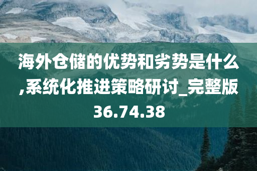 海外仓储的优势和劣势是什么,系统化推进策略研讨_完整版36.74.38