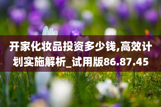 开家化妆品投资多少钱,高效计划实施解析_试用版86.87.45