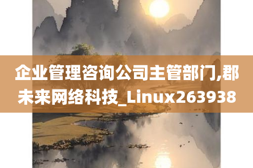 企业管理咨询公司主管部门,郡未来网络科技_Linux263938