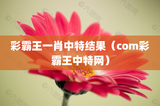 彩霸王一肖中特结果（com彩霸王中特网）