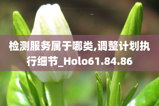 检测服务属于哪类,调整计划执行细节_Holo61.84.86