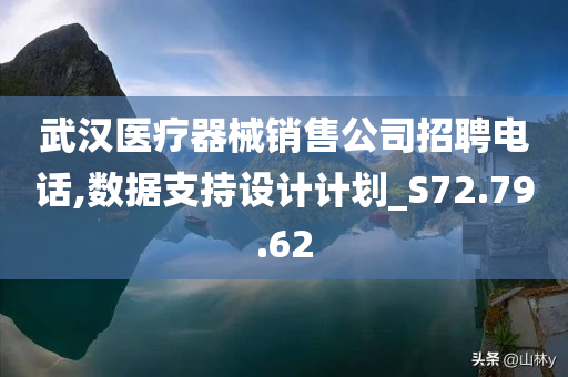 武汉医疗器械销售公司招聘电话,数据支持设计计划_S72.79.62