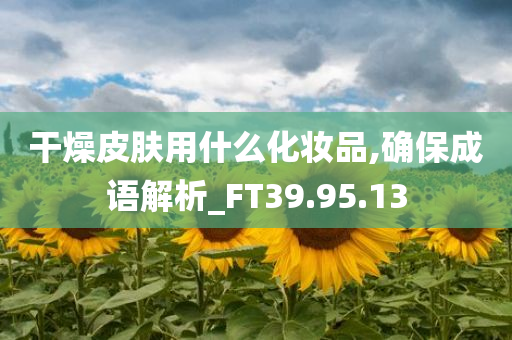 干燥皮肤用什么化妆品,确保成语解析_FT39.95.13