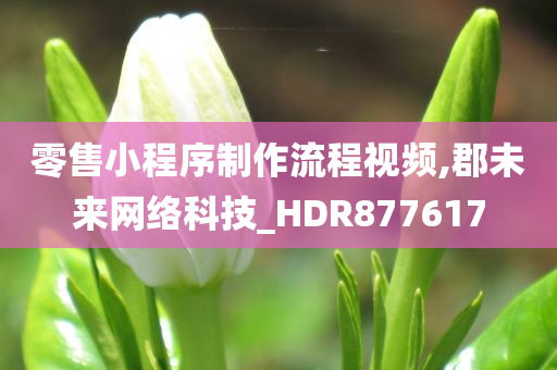 零售小程序制作流程视频,郡未来网络科技_HDR877617