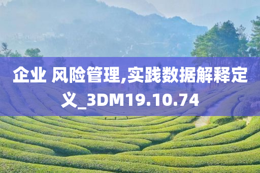 企业 风险管理,实践数据解释定义_3DM19.10.74