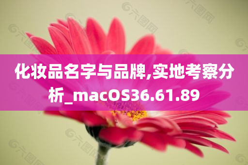 化妆品名字与品牌,实地考察分析_macOS36.61.89