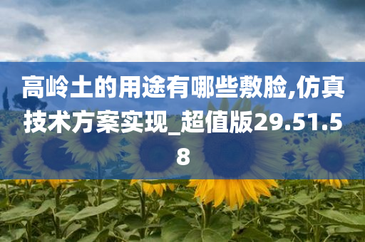 高岭土的用途有哪些敷脸,仿真技术方案实现_超值版29.51.58