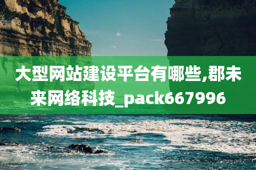 大型网站建设平台有哪些,郡未来网络科技_pack667996