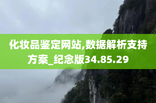 化妆品鉴定网站,数据解析支持方案_纪念版34.85.29