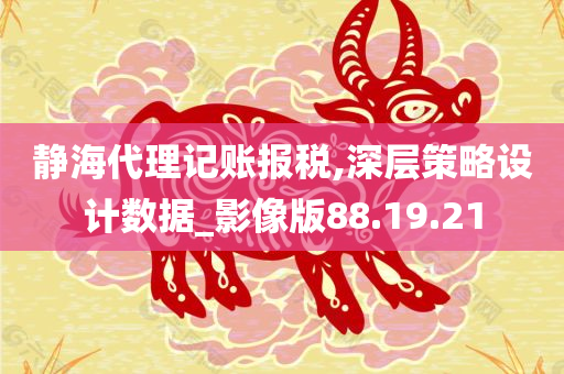 静海代理记账报税,深层策略设计数据_影像版88.19.21