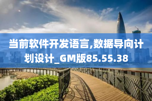 当前软件开发语言,数据导向计划设计_GM版85.55.38