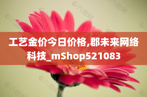 工艺金价今日价格,郡未来网络科技_mShop521083