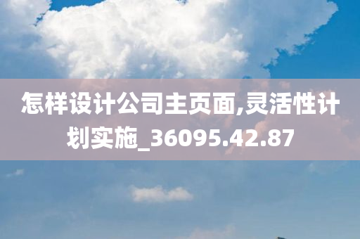 怎样设计公司主页面,灵活性计划实施_36095.42.87