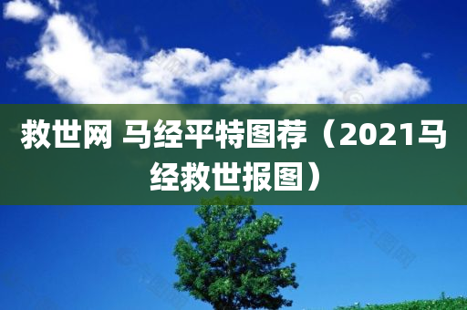 救世网 马经平特图荐（2021马经救世报图）