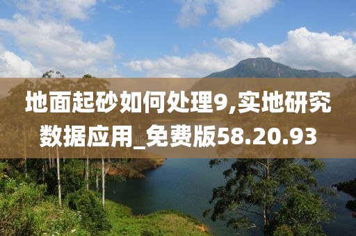 地面起砂如何处理9,实地研究数据应用_免费版58.20.93