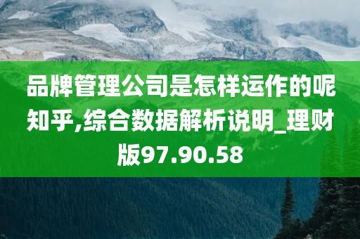 品牌管理公司是怎样运作的呢知乎,综合数据解析说明_理财版97.90.58