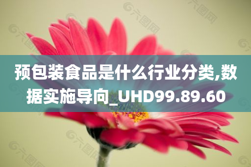 预包装食品是什么行业分类,数据实施导向_UHD99.89.60